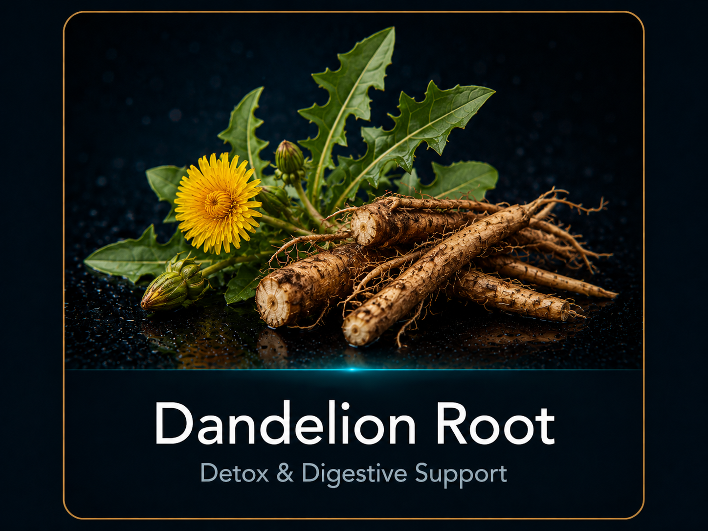 Dandelion Root
