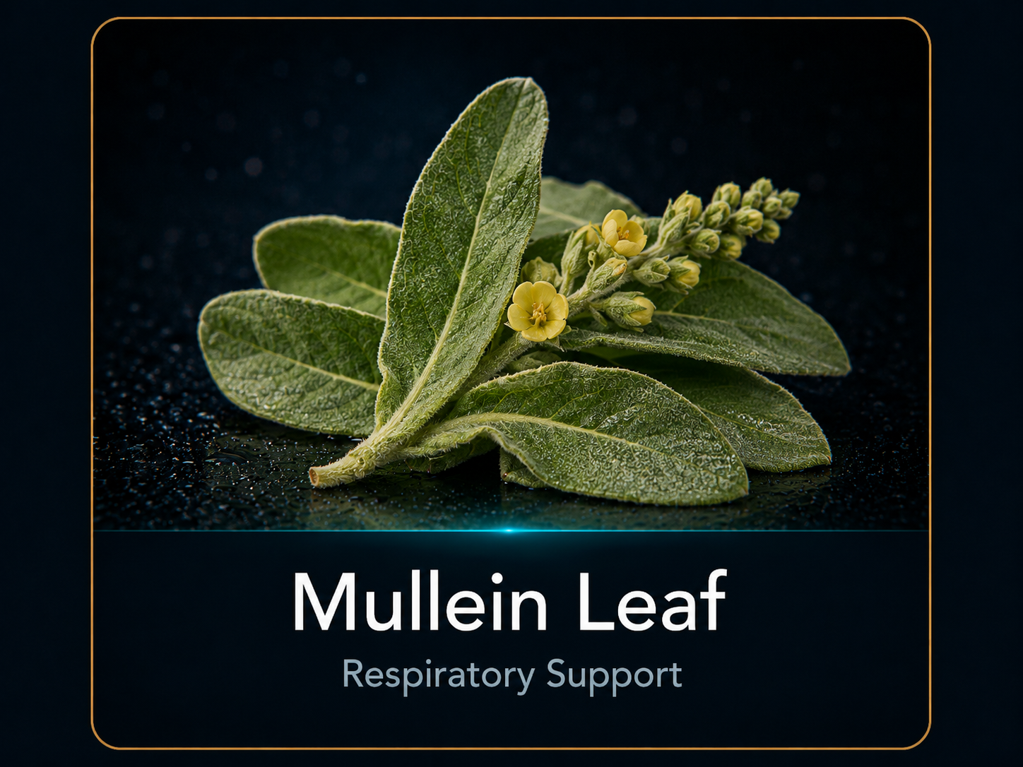 Goldenseal