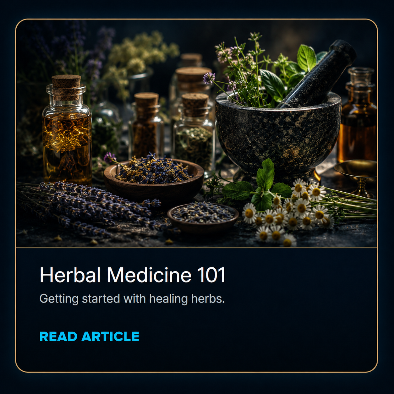 Herbal Medicine 101