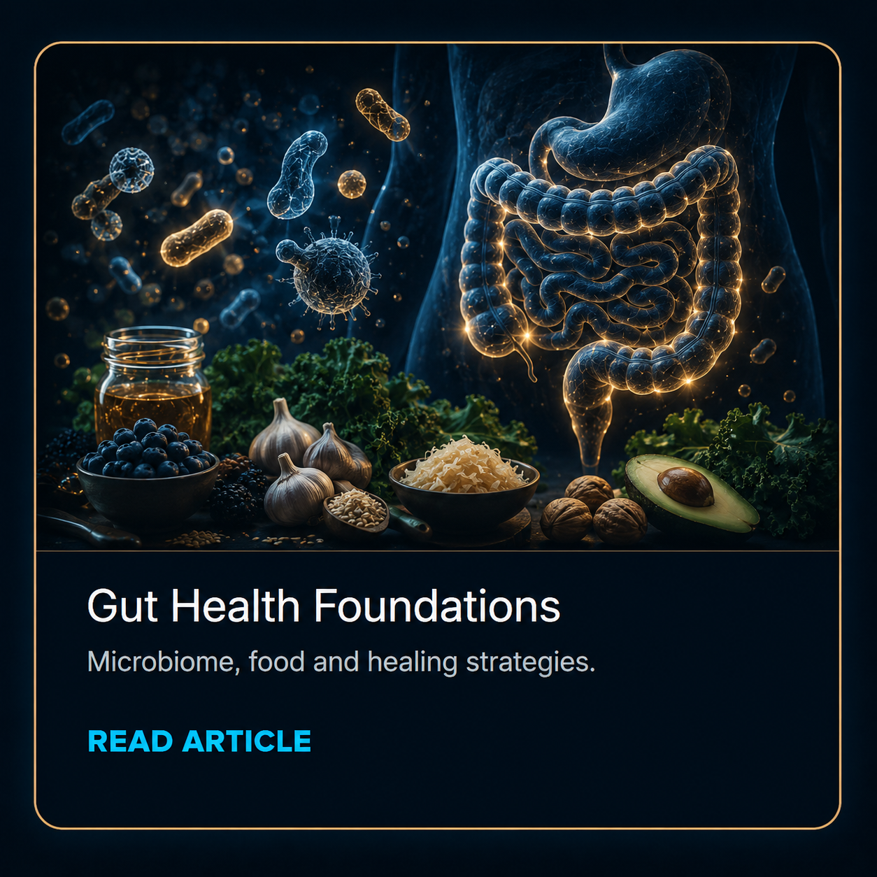 Gut Health Foundations