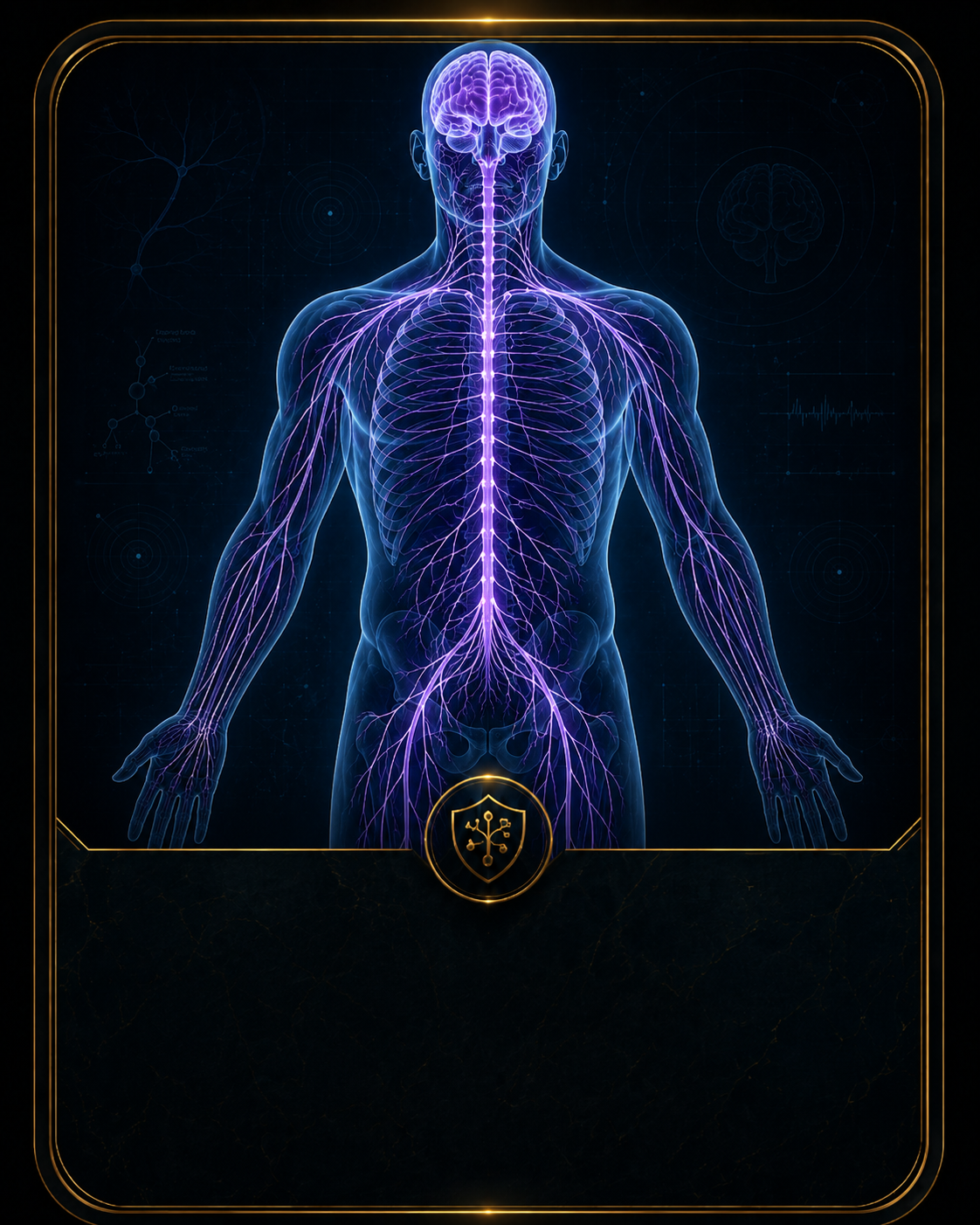 Detailed medical illustration of the nervous system